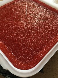 96BE8F37-33D4-4777-8C34-0F680CA6A268.jpeg