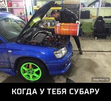 5a29a6s-960.jpg