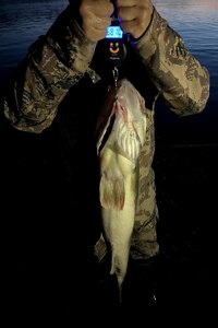 IMG_20240619_001807_351.jpg
