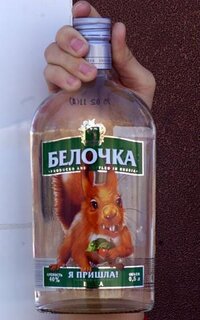 4151.jpg