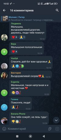 Screenshot_2025-01-22-10-52-02-447_org.telegram.messenger.jpg
