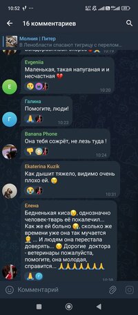Screenshot_2025-01-22-10-52-25-662_org.telegram.messenger.jpg