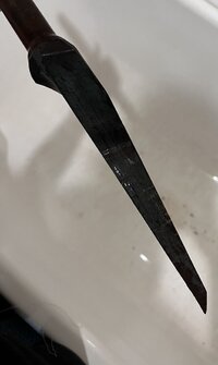 IMG_2998.jpeg
