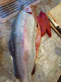 IMG_20250307_185724.jpg