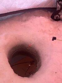 IMG_3416.jpeg