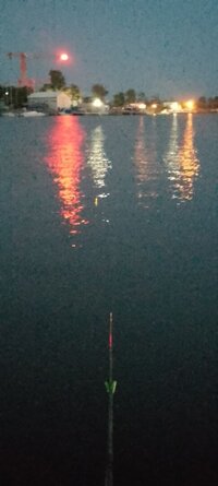 IMG_20240707_214044_206.jpg