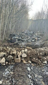 IMG_20250419_102012_018.jpg