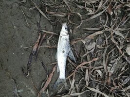 IMG_20250501_092139.jpg