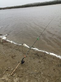 IMG_20250501_092221.jpg
