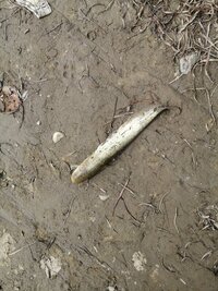 IMG_20250501_100135.jpg