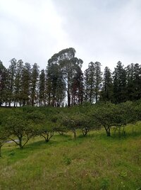 IMG_20250501_121058.jpg