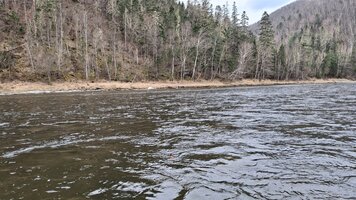 20250502_111254.jpg