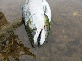 IMG_2077.JPG