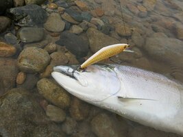 IMG_2138.JPG