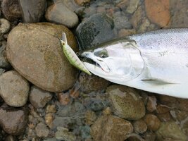 IMG_2284.JPG