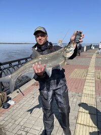 IMG_9879.jpeg