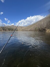 IMG_4110.jpeg