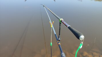 IMG_20250510_101417.jpg