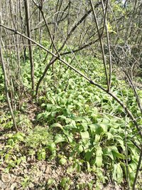 IMG_20250510_152258.jpg
