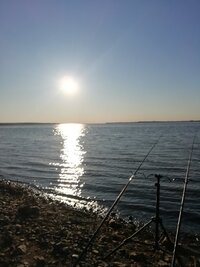 IMG_20250510_191115.jpg