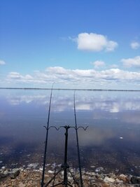 IMG_20250510_112810.jpg