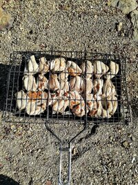 IMG_20250510_165722.jpg