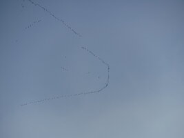 DSCF1510.JPG