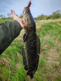 IMG_20250513_110724.jpg