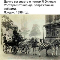 1747290847143.png