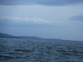 DSCF1585.JPG