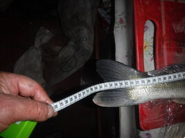DSCF1592.JPG