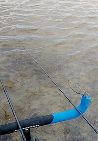 20250520_085404.jpg