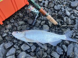 IMG_4853.jpeg
