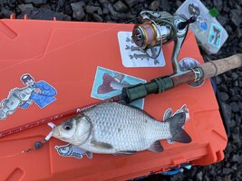 IMG_4852.jpeg