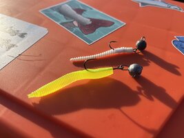 IMG_4864.jpeg