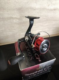 IMG_20250521_112025.jpg