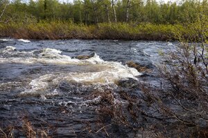 IMG_1608.jpg