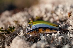 IMG_2144.jpg