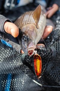 IMG_1863.jpg