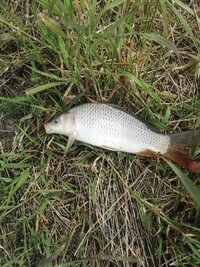 IMG_20250529_091137.jpg