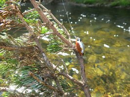 IMG_0957.JPG