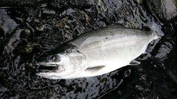 DSC_0015.jpg