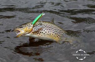 Smith-130.JPG