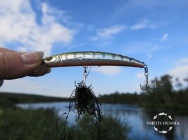 IMG_9811.JPG