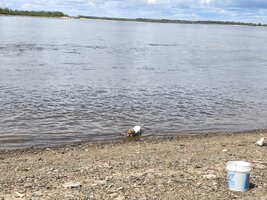 IMG_20250608_132426.jpg