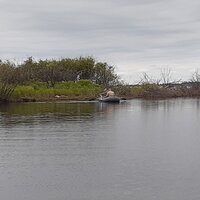 20250607_100716.jpg