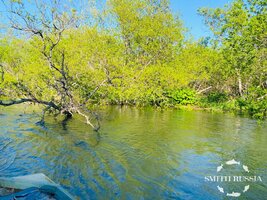 IMG_2100.jpg