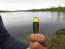 IMG_8052.JPG