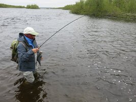 IMG_8180.JPG