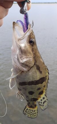 20250610_193733.jpg